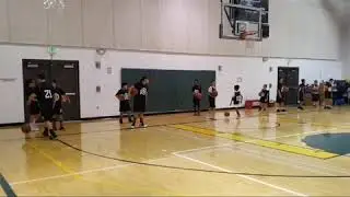 PRECISE BASKETBALL (Based in La Habra Heights CA)
