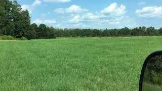 Update on  Coastal Hay fields Gerraldfarms