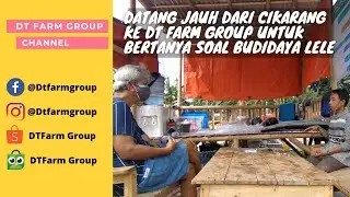 Berbagai Ilmu dan Pengetahuan Soal Budidaya Lele Ke Pembeli (Video Official)