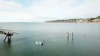 White Rock Pier storm damage