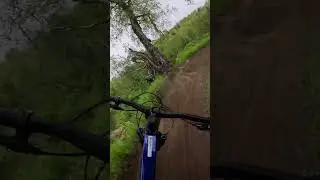 Trek Fuel EX 7 - First ride impressions (Full video link in description)
