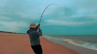 OBX May 2022! We didn't expect to CATCH this MONSTER from the SURF!  KAYAK SOUND FISHING - BIG DRUM!