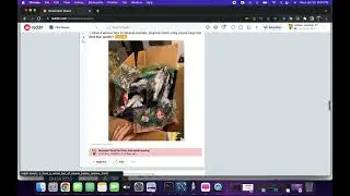 beanie baby reddit mod