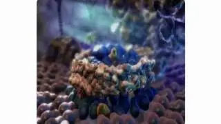Schon Creative: Pharma, Chemical & Molecular Animation Demo Reel