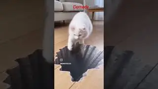 comedy #kapilsharma #animals #animation#viral#trending#hype#news #love#sad#depression#funny#shorts