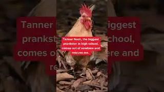 Chicken about Love: A Sweet Southern Romantic Comedy