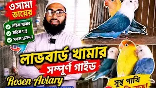 Rosen aviary লাভবার্ড পাখির খামার | Love birds farm in Bangladesh।@saadpakhirneer