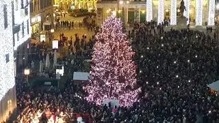 Accensione del grande albero di Natale in piazza De Ferrari a Genova