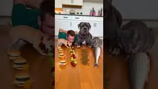 I trained my dog well and now he uses it to impress guests #dogtraining #pets #cute