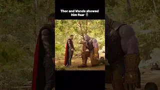 THOR & WANDA SHOW THANOS NEDER! | Marvel Multiverse Showdown #marvel #mcu #thor #shorts