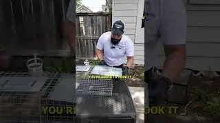 How To Set Up A Smart 1-Door Live Animal Trap for Raccoons, Squirrels, and more Rodents