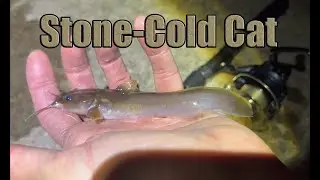 Microfishing: Spotting Tails, Day 2, Part 4