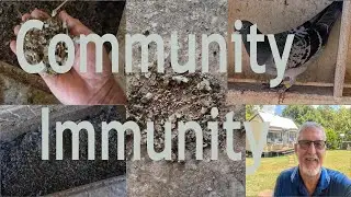 Совокупный иммунитет — полностью натуральный