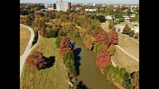 Houston's Fall Colors