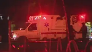 Tourist boat crew helps rescue person in water near Navy Pier