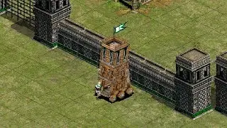 Aoe2 WololoKingdoms Beta Testing - Siege Tower vs AkeNo