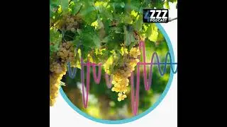 The Vine Review