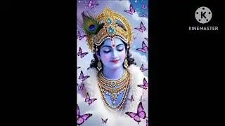 Kali-Kamli-Wala-Mera-Yaar