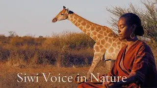 African Soulscape | Tribal Ambient Music with Kalimba, Mbira & Nature Sounds