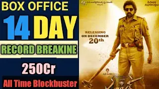 Ruler Telugu Movie Box Office Collection, Ruler 14th Day Box Office Collection,Ruler Full Movie,