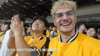 Experiencing Taiwanese Pro Baseball! CTBC Brothers vs Rakuten Monkeys
