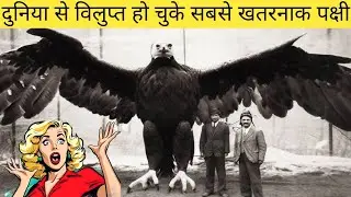 Top 5 Most Dangerous Extinct Birds That Ruled the Earth | Prehistoric Monsters in Real Life!