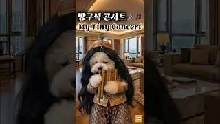 My Tiny Home Concert Vol.1 🐶🏡🎵🎤
