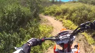 Beta 430RR