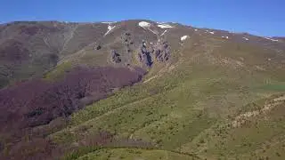 Koznica