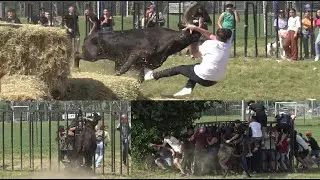 ST HILAIRE DE BRETHMAS ABRIVADO BANDIDO PARCOUR OUVERT + COURSE AU PLAN 21.05.2022