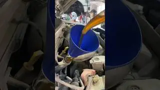 Rich Performing An Oil Change 🚗 #car #mechanic #carcare #mechanical #brakes #oilchange #satisfying
