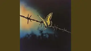 Sola