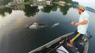 Insane Boatside Musky Strike