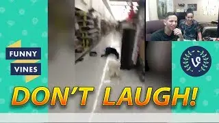 TRY NOT TO LAUGH CHALLENGE!