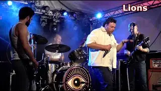 Lions - Black Smoke Brigade