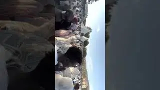 Epiphany in Burayu,Kata,Oromia,Ethiopia #ethiopia #oromia #duet #song #epiphany #holiday 
