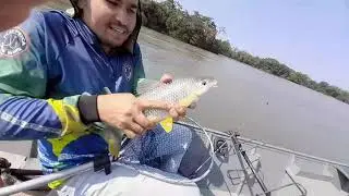 PESCARIA DE PIAU E PIAPARA  VOCE TEM QUE APRENDER ESSA TÉCNICA 