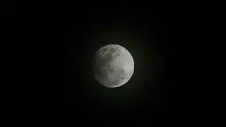 (FREE) 