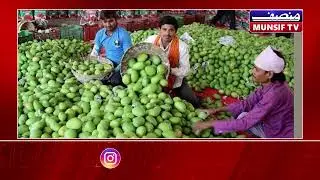 Good News for Mango Farmers! Centre Approves Price Support Scheme for AP's Totapuri Mangoes |