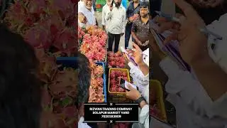 Dragon Fruit Auction 🙏🏻