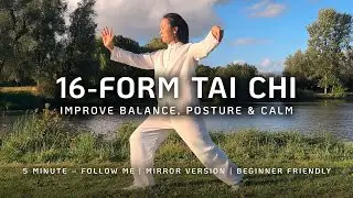 16 Form Tai Chi &mdash; Mirrored Follow-Along | Improve Balance, Posture & Calm