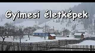 Ez az igazi BIO, az-az ÖKO gazdálkodás, amit sem a multik, sem az állam nem akarja, hogy folytassák