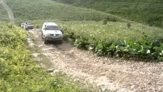 MOV04075