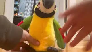 Talking green/yellow parrot toy￼