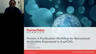 Gibco ExpressionWorld 2016: The ExpiCHO transient expression system—Optimization of monoclonal antib