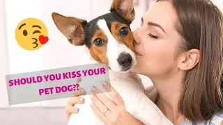 Does your Pet Dog Likes to Get Kissed? Should You Kiss your Pet Dog?