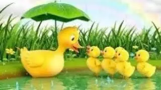 🦆🌧️ Ducks and Rain Rhyme | Fun Ducklings Splashing in Rain  🌧️ 🎶