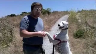 Go Fly a Kite! - Cesar Chavez Park Tour - Berkeley, CA