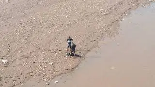 Jammu : Unidentified de.@d-body found from Tawi River.