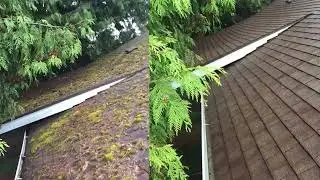 Asphalt Shingle roof cleaning